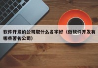 软件开发的公司取什么名字好（做软件开发有哪些著名公司）