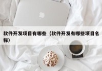 软件开发项目有哪些（软件开发有哪些项目名称）