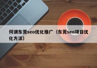 何谓东莞seo优化推广（东莞seo项目优化方法）