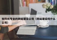 如何找专业的网站建设公司（网站建设找什么公司）