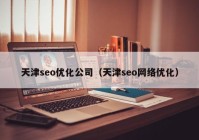 天津seo优化公司（天津seo网络优化）