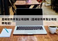 昆明软件开发公司招聘（昆明软件开发公司招聘电话）