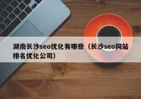 湖南长沙seo优化有哪些（长沙seo网站排名优化公司）