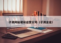 子洲网站建设运营公司（子洲企业）