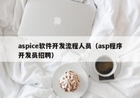 aspice软件开发流程人员（asp程序开发员招聘）