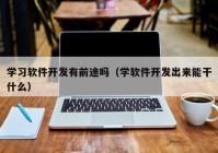 学习软件开发有前途吗（学软件开发出来能干什么）