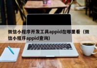 微信小程序开发工具appid在哪里看（微信小程序appid查询）