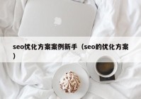 seo优化方案案例新手（seo的优化方案）