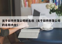 关于软件开发公司的名称（关于软件开发公司的名称大全）