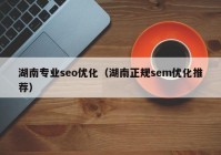 湖南专业seo优化（湖南正规sem优化推荐）