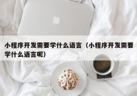 小程序开发需要学什么语言（小程序开发需要学什么语言呢）