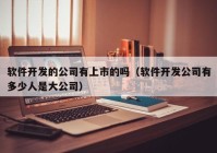 软件开发的公司有上市的吗（软件开发公司有多少人是大公司）