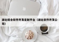 湖北综合软件开发定制平台（湖北软件开发公司）